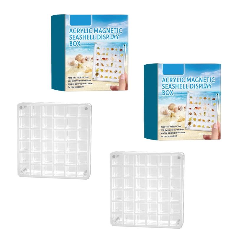 Clear Shells Display Case Seashells Storage Box for Home Decoration and Museums