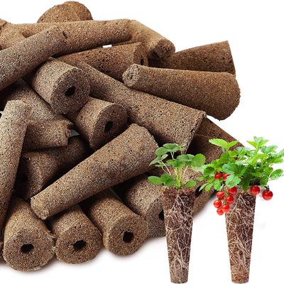 50 esponjas de repuesto para el crecimiento de semillas, esponjas para el crecimiento de raíces, tapones de inicio para plántulas, cápsulas de semillas para el inicio de semillas, plantación en jardín hidropónico
