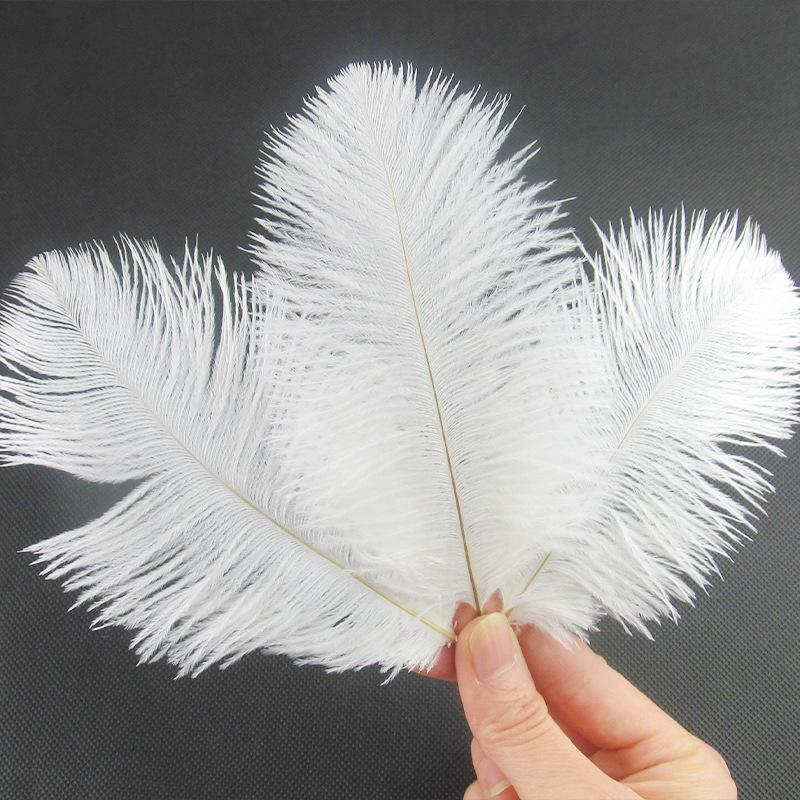 Large 15-20cm Ostrich Feathers for Wedding Arrangements and Stage Props