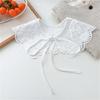 Chic Detachable Neckline Accessory Delicate Lace Spread Lapel Collar 8 Style Choices