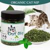 Natural High Quality Catnip Cattle Grass Mint Taste Funny Cat Toy Active Interactive Attractant Cat Chew Toys Pet Supplies