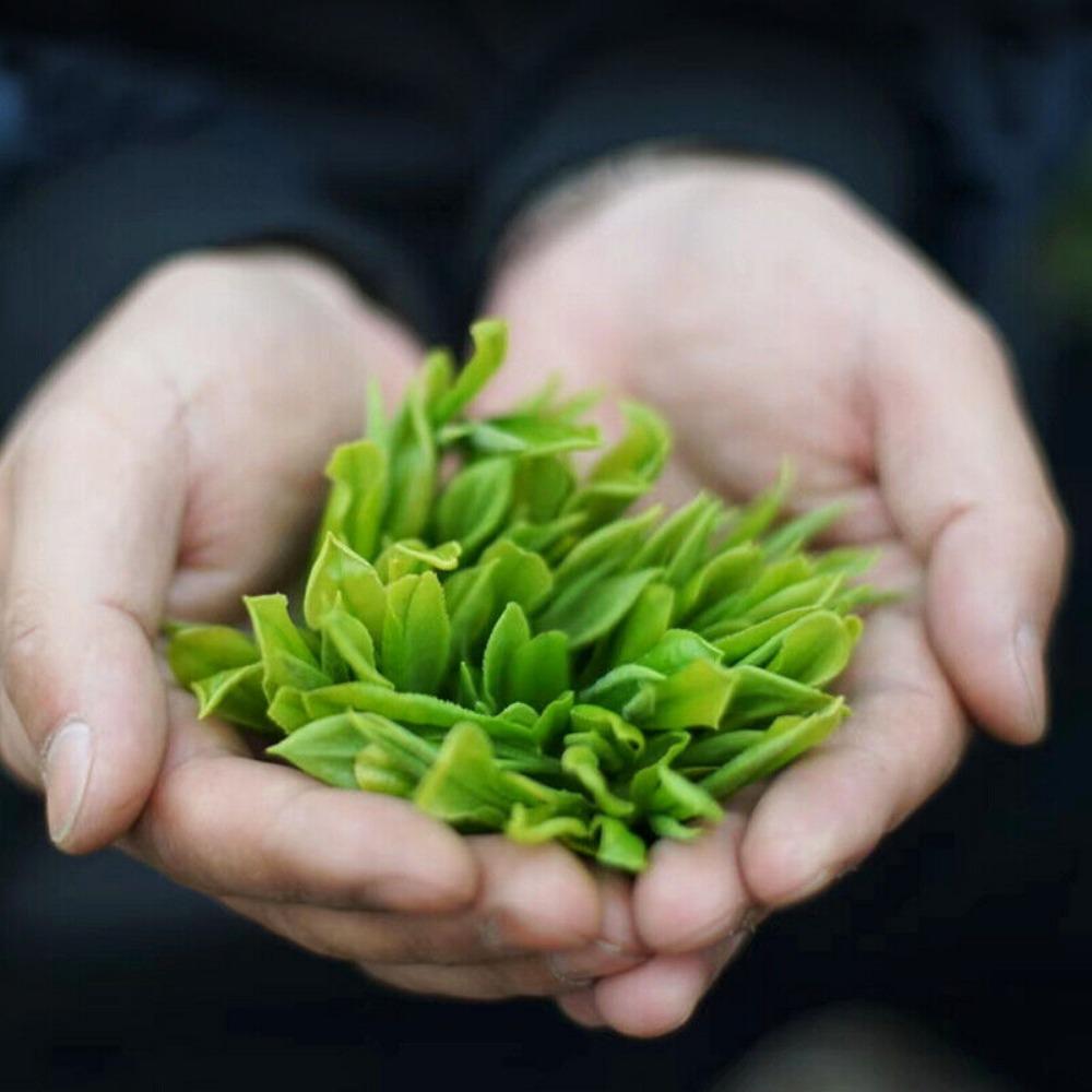 Orchid Aroma Special Grade Zhengshan Xiaozhong Black Tea Little Red Sweetness