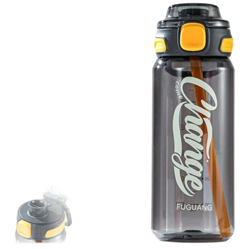 Fuguang Portable PC Straw Water Bottle