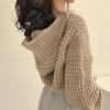 Autumn and Winter Knitted Cardigan Women Hooded Short Sweater Jacket Casual Loose Zipper Office Short Tops Hollow Out Fashion Elegant Office Clothing