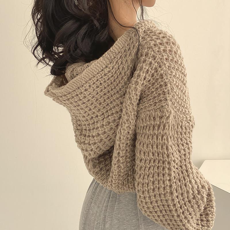 Autumn and Winter Knitted Cardigan Women Hooded Short Sweater Jacket Casual Loose Zipper Office Short Tops Hollow Out Fashion Elegant Office Clothing