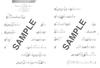 Popular Melodies Played On the Flute Karaoke CDs J-POP & (2 Included)
