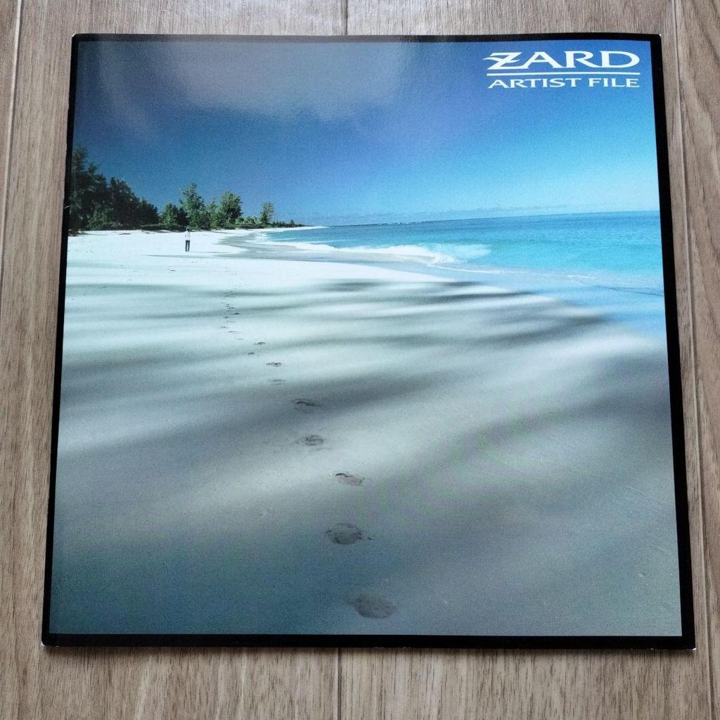 [USED] ZARD ARTIST FILE