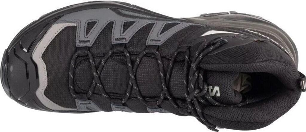 Обувь для треккинга Salomon X Ultra 360 Mid GTX black/magnet/pewter