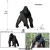 Children's Cognitive Simulation Primate Model: Gorilla & Golden Snub-nosed Monkey Wildlife Toy