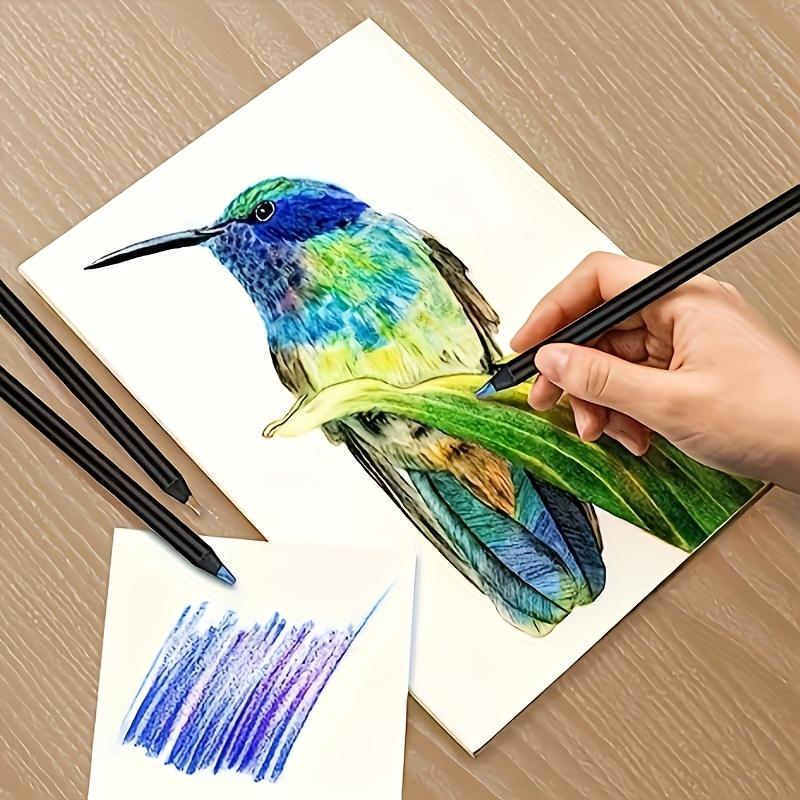Rainbow Pencils Featuring Magical Gradient Colors Dust-free with a Line Thickness of 2mm or More Suitable for Ages 14 and Above