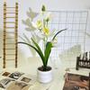 Simulation Cymbidium Faberi Rolfe Riverstones Bonsai For Photography Prop Use