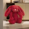 Dlouhé ucho Bunny Cartoon Toy Panenky pro děti Děti dárek k narozeninám