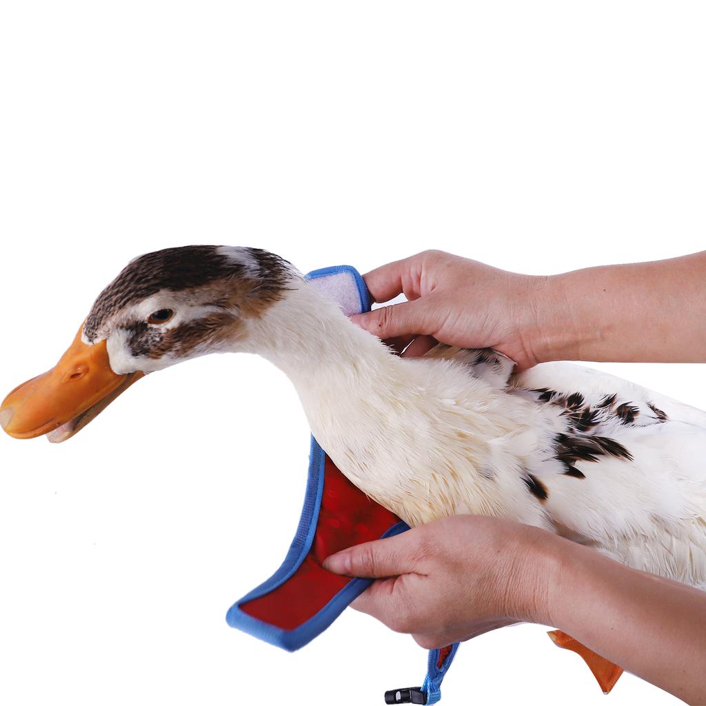 Adjustable Duck Harness with Sticker Leash for Rabbits Easy Control Duck Harness Leash Rabbit Lead