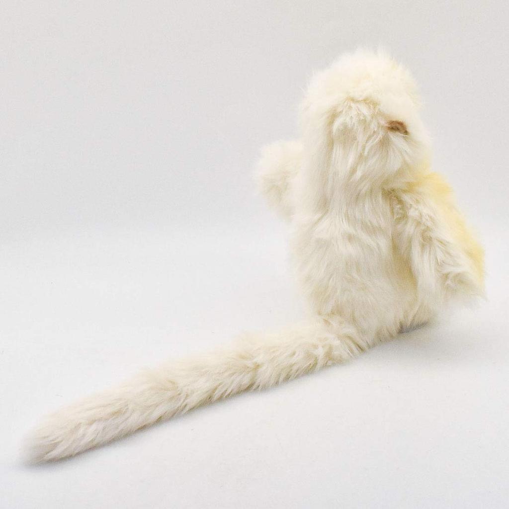 BH6765 HANSA Snub-nosed Monkey 30
