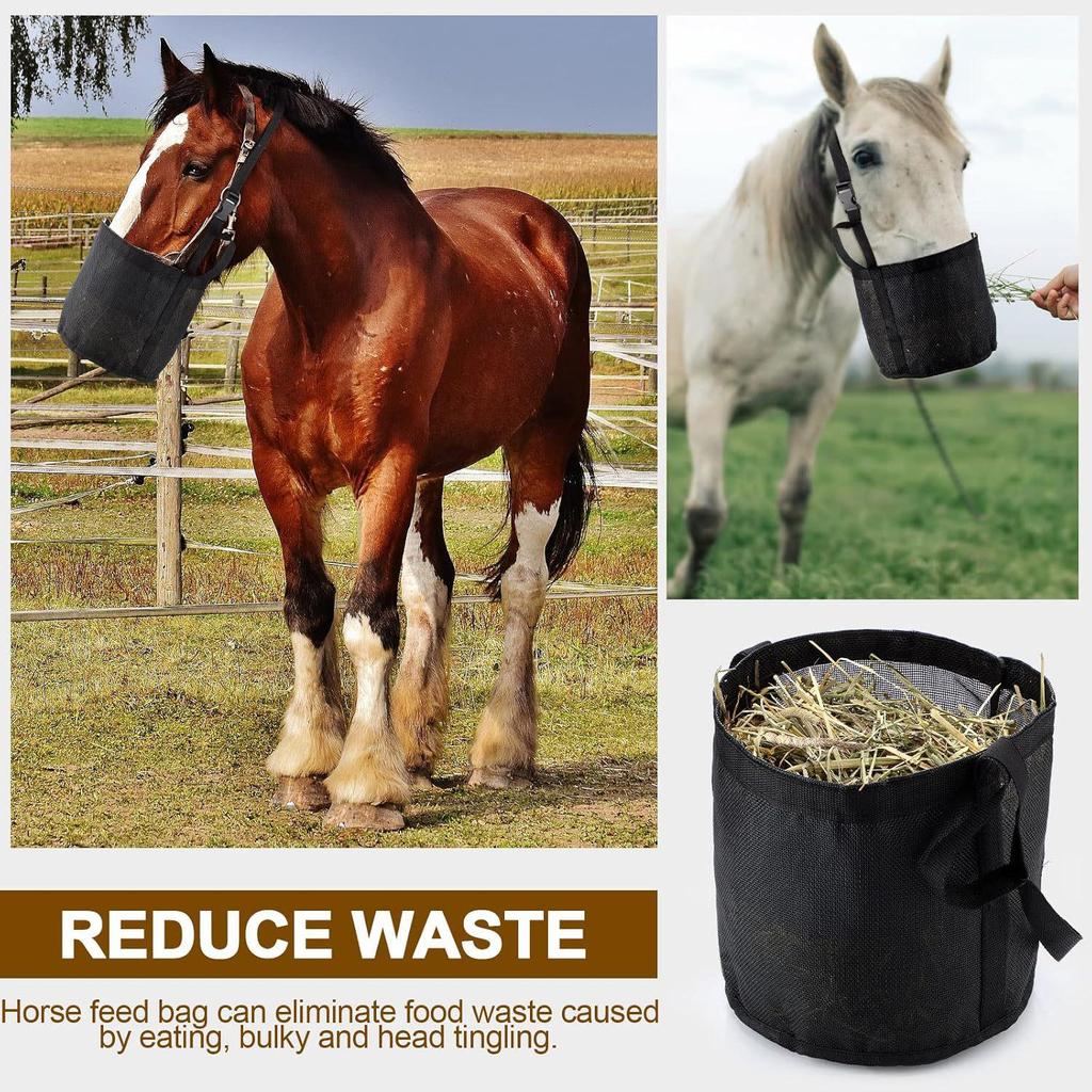 Adjustable Spill-Proof Horse Feed Bag with Mesh Slow Feeder Design