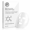 SV Professionelle Bio-Kollagen Gesichtsmaske | Tuchmaske | Übernachtmaske | Koreanische Glass Skin Gesichtsmasken für Tiefenfeuchtigkeit, Porenverfeinerung, Fi