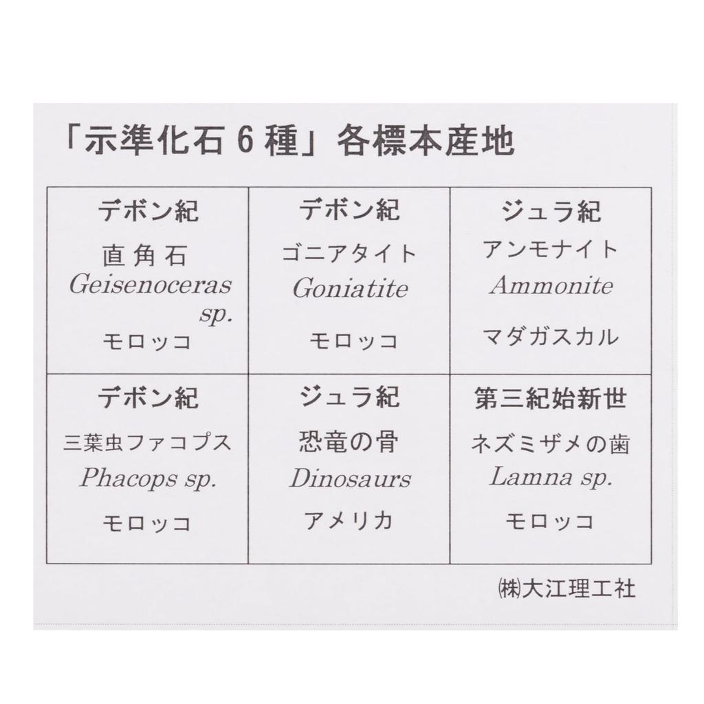 Oherikosha Mini Espécime Série 6 Fósseis Índice