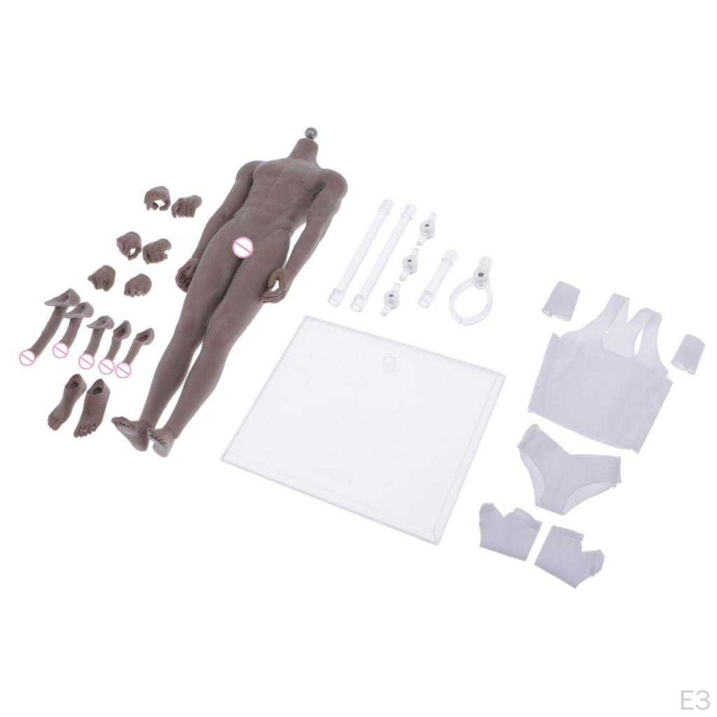 1/6 Flexible Male Body with Accessories for 12 Inch