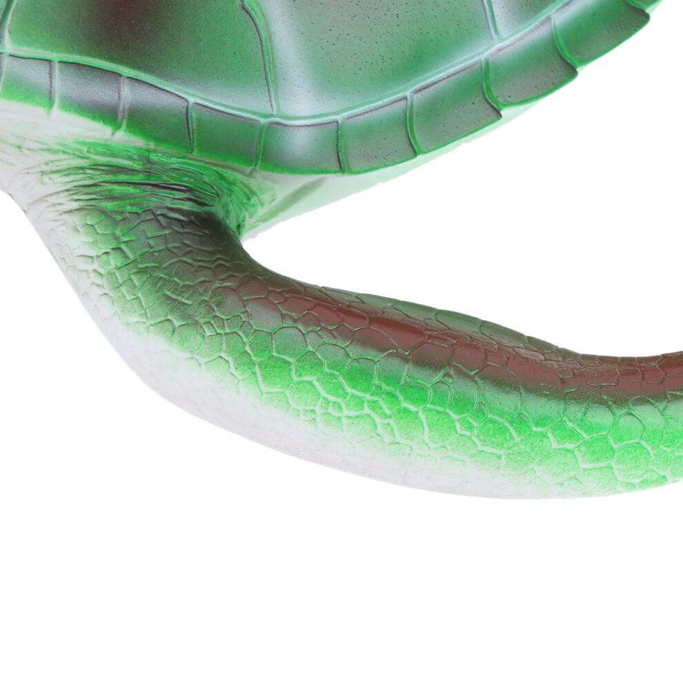 Simulation Animal Model Soft Sea Life Animals