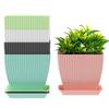 Pack of 5 6 inch Plant Flower Pots with Drainage Holes and Tray Saucers Outdoor Indoor - Ideal for Indoor Plants, Succulents, and Small Pots