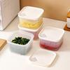 Plastic Kitchen Herb Keeper With Lid For Freshness And Drainage Storage For Adults