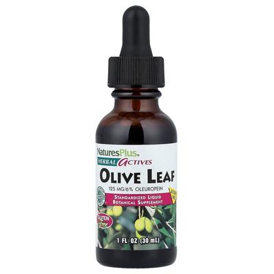 Herb Actives Olive Leaf Alcohol-Free 30ml (1 Fl Oz)