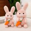 Adorable Plush Bunny Stuffed Animal Toy Ultra Soft Cuddly Rabbit Pillow Gift