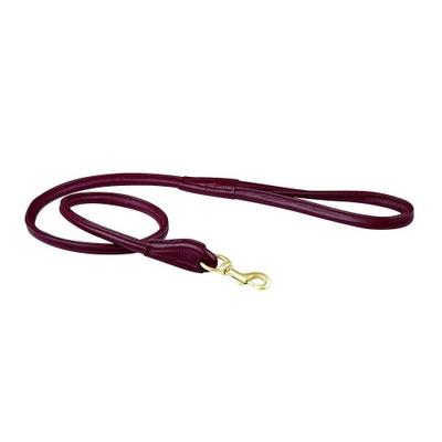 Hundar – Hundhalsband & Koppel