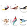  Fashionable Cartoon Bird Hair AccessoriesFriendly Acetate Big Hair Clip For Daily Use School Event Hairstyling