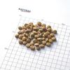 Natural Harvest Maintenance Small Turkey, 1.1kg, 2 Bags [Free Dog-Friendly Original Imabari Hand Towel] [Towel Color: Mocha]