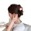  Trendy Hair Clip for Women Stylish Barrettes Gentle on Fine Hair Suitable for Professional Occasion and Night Event