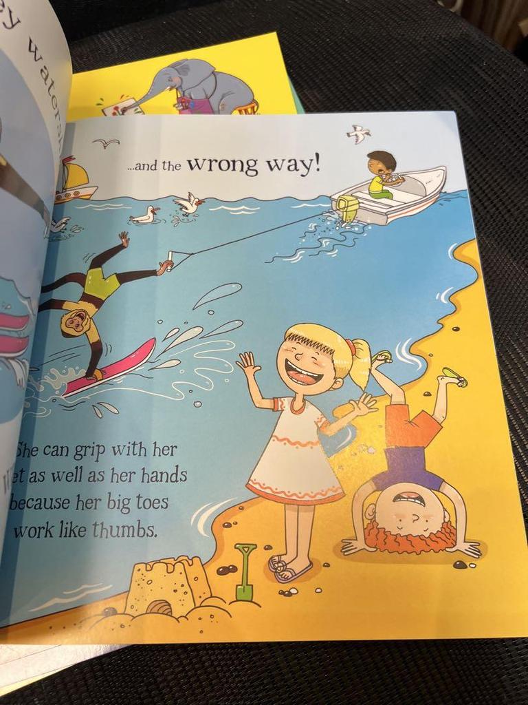 [USED] English Picture Books: Could a Series 10 books