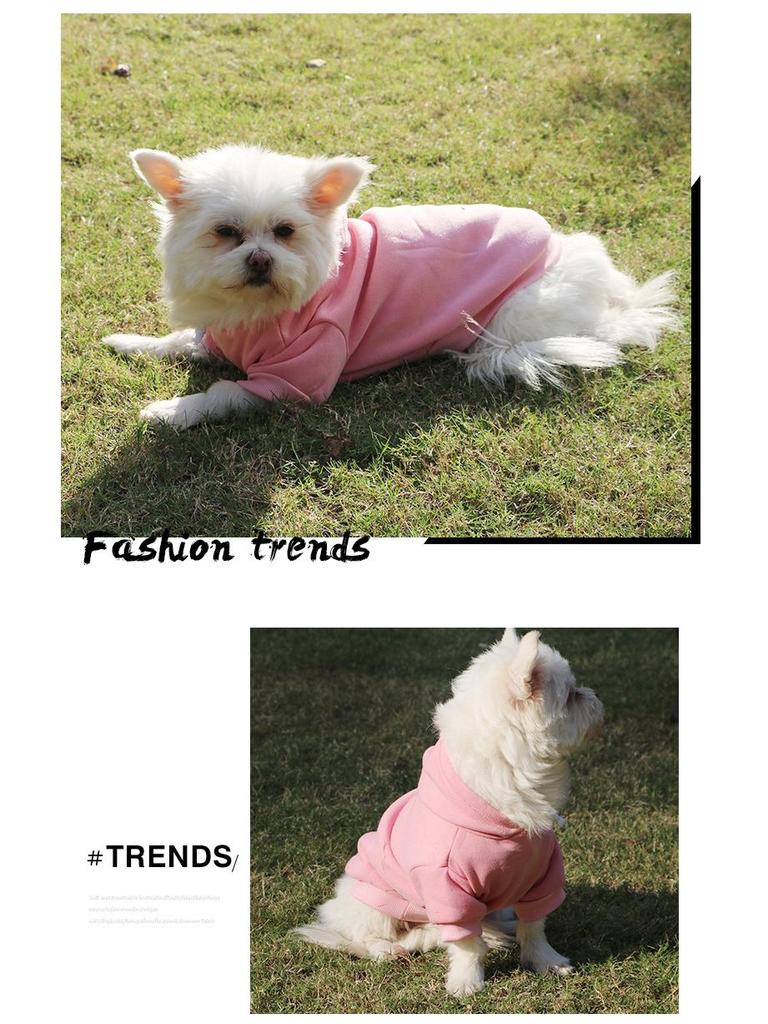 Cozy Puppy Hoodie for Pomeranian, Bichon, and Teddy Dogs - Two-Legged Fleece Sweatshirt