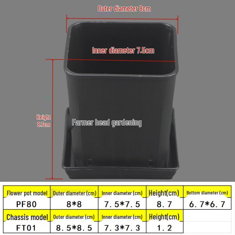 Square Root Control Succulent Pot: Short & Chubby Plastic Flower Pot for Seedlings or Kindergarten Activities