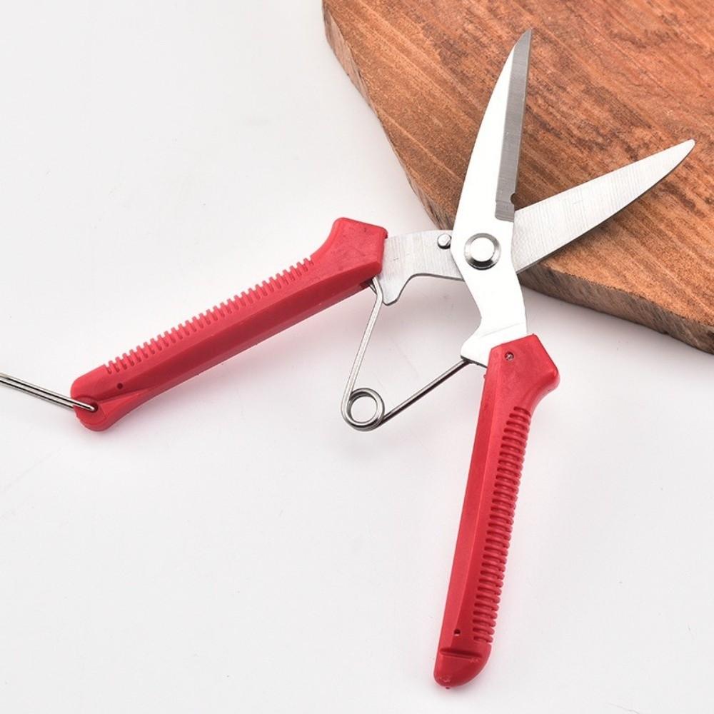 Stainless Steel Gardening Pruning Shears Labor-Saving Grafting Pruner Outdoor Flower Garden