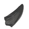 Tokyo Science Tyrannosaurus Rex Tooth Replica
