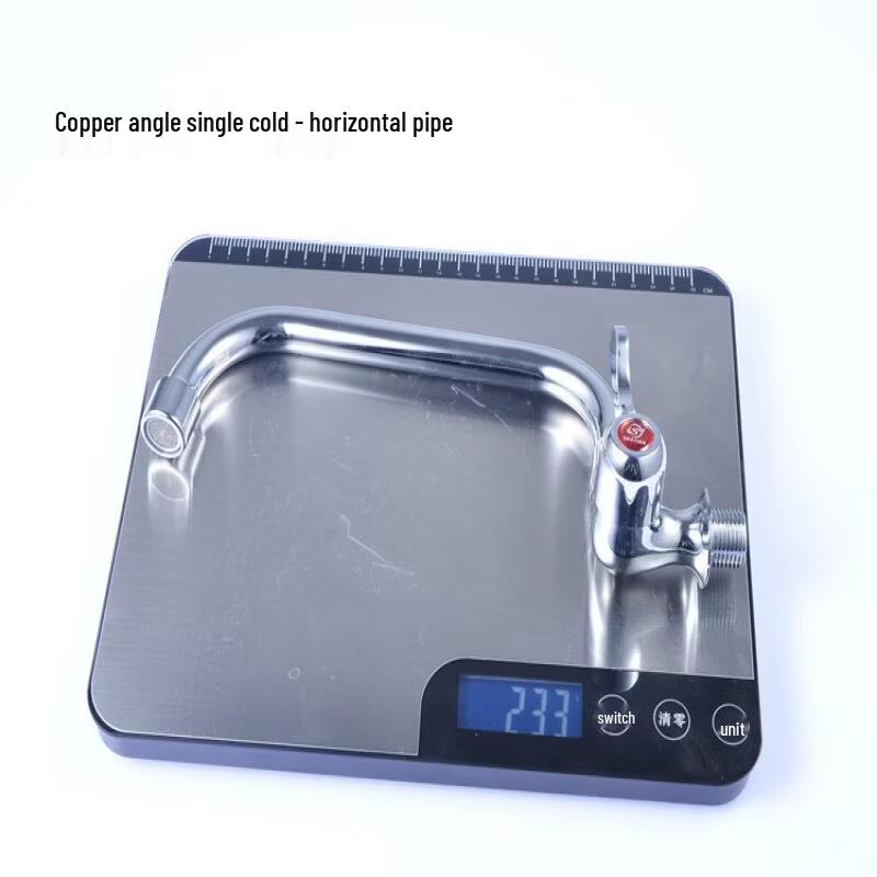 TLXT Single Cold Wall-Mounted Copper Kitchen Faucet