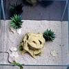 3D Printed Aquarium Decor Hideout Tree Ball, Natural Look Root Reptile Hideout, Freshwater Tank Fish Cave, Decorative Habitat Shelter for Betta Shrimp