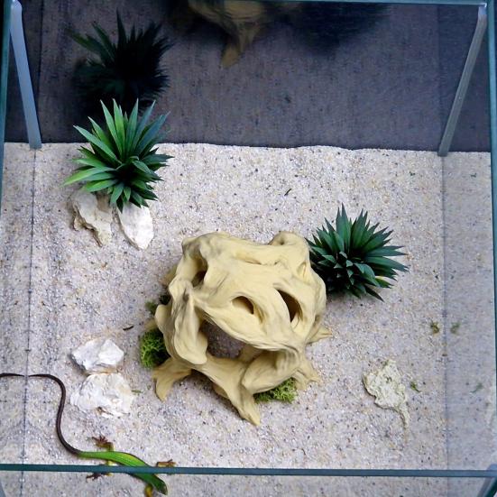 3D Printed Aquarium Decor Hideout Tree Ball, Natural Look Root Reptile Hideout, Freshwater Tank Fish Cave, Decorative Habitat Shelter for Betta Shrimp