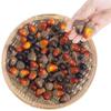 Artificial Lifelike Simulation Small A Corn Set Decoration False N Uts Home Kitchen Decor
