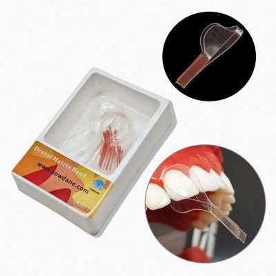Dentist Polyester Matrices Dental Self-Adhesive Transparent Sectional Contoured Matrix Dental Matrix Twin Anterior Matrice