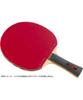 Butterfly TAMASU raketa na stolní tenis TB5 Alpha + Slaver-EL 16970