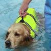 Adjustable Dog Life Vest High Buoyancy Puppy Swimwear Dog Supplies Safety Swimming Suit  Surfing