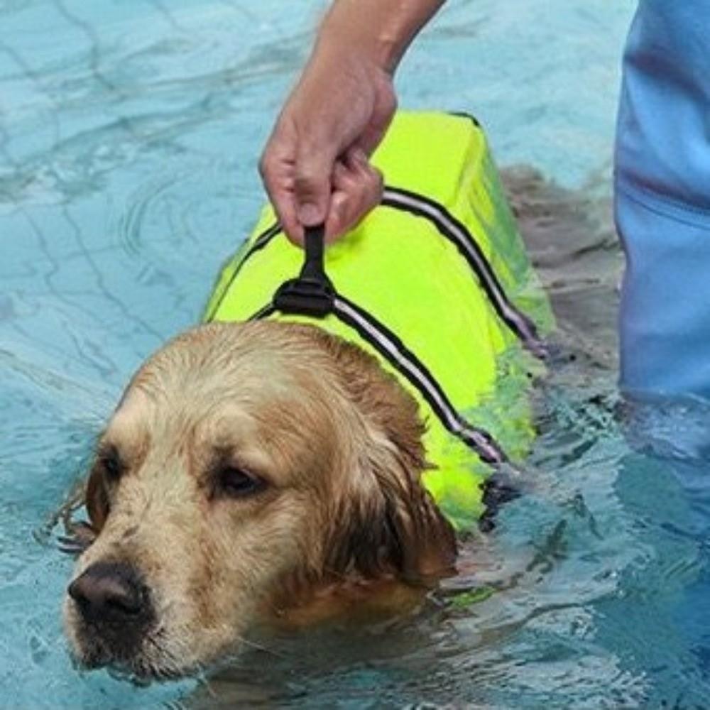 Adjustable Dog Life Vest High Buoyancy Puppy Swimwear Dog Supplies Safety Swimming Suit  Surfing