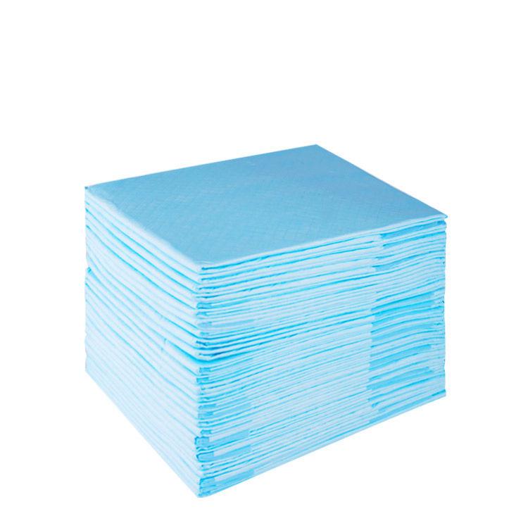 Thickened Absorbent Pet Urine Pad for Cats and Dogs - Training and Toilet Supplies