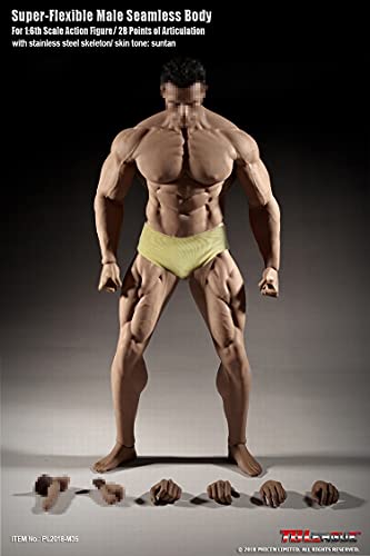 

TBLEAGUE Super Flexible, Asia, Male, Seamless Body Figure Body Male Intra (M35)