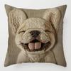 2PCS Vibrant Bohemian Style Short Plush Pillow Cover 45x45cm Doggy Imitation Embroidered Pillowcase (Pillow Insert Not Included)