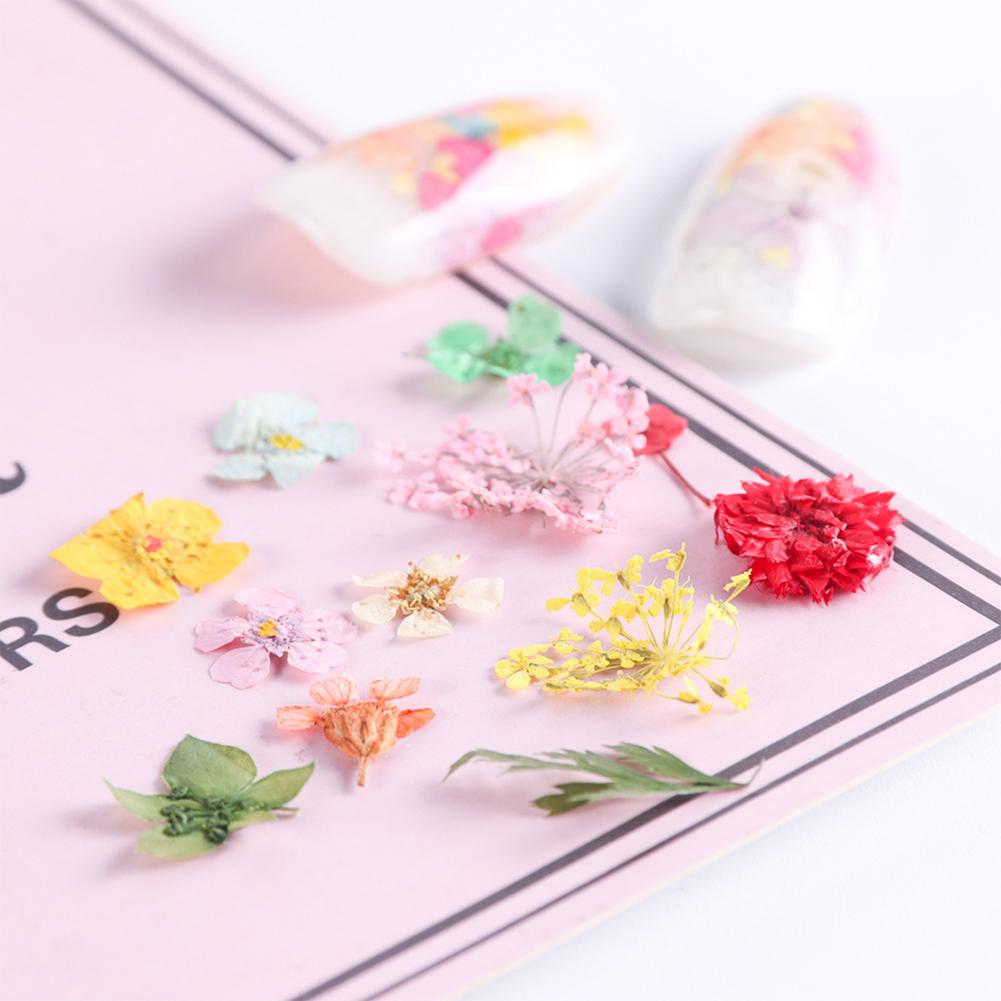 3D Nail Manicure Dried  Flowers 12 Kinds Colorful Realistic Diy Crafts Resin Jewelry Ornaments Phone Cases Invitation Cards Decor