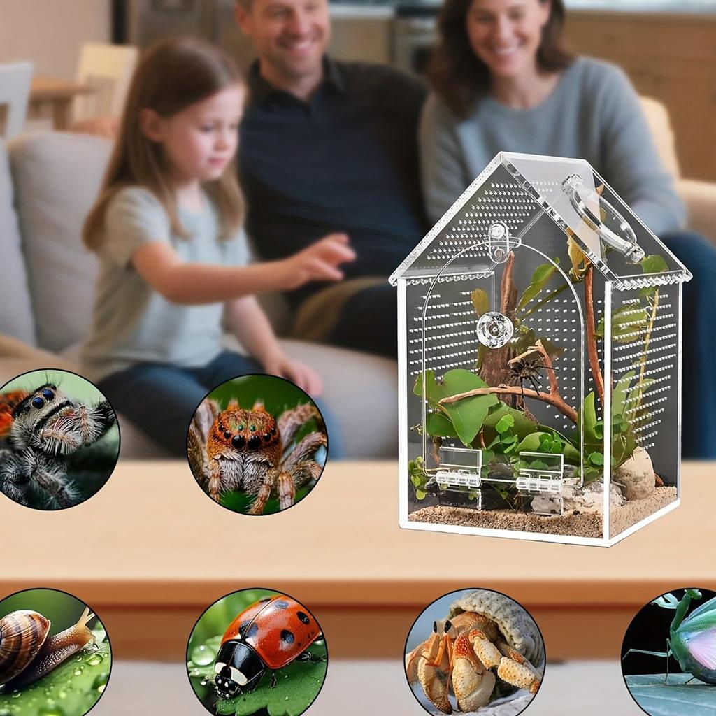 Clear Acrylic Reptiles Terrarium Breading Box With Removable Top Lid Ventilation Hole 12x12x20cm For Science Experiment