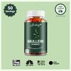 Mullein gummies met hoge potentie, heilzaam voor de longgezondheid; toortsbladextract voor longreiniging; geschikt voor volwassenen.